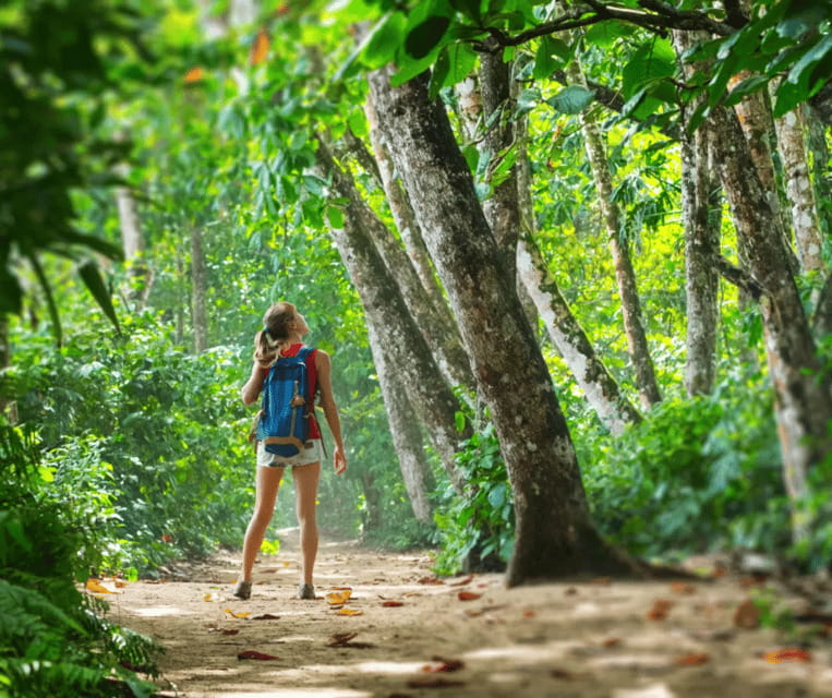 Krabi: Rainforest Jungle Tour with Emerald Pool & Hot Spring - Tiger Cave Temple: the full-day option’s real challenge