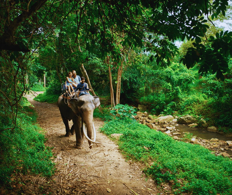 Krabi: Rainforest Jungle Tour with Emerald Pool & Hot Spring - Who will enjoy this tour most