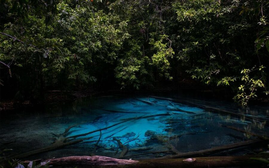 Krabi: Tiger Cave, Hot Springs and Emerald Pool Jungle Tour - A full day beyond Krabi’s beaches