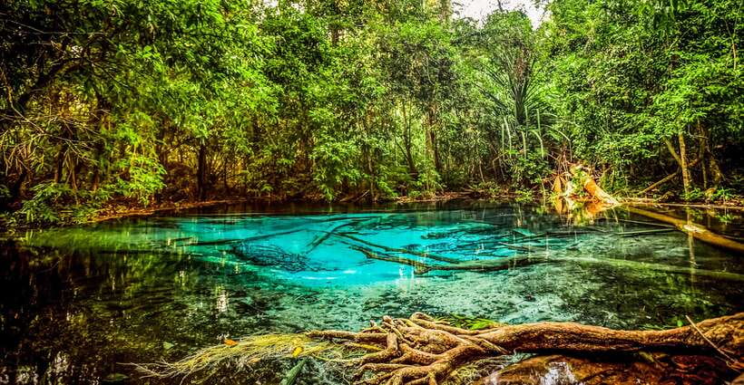 Krabi: Tiger Cave Temple, Emerald Pool and Hot Springs Tour - What the guide and driver add to the day