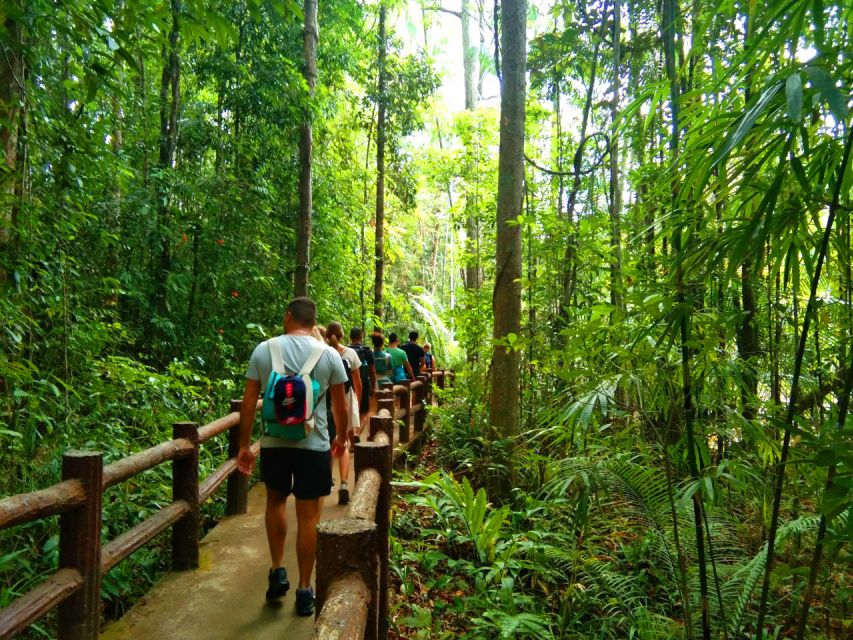 Krabi: Tiger Temple, Hot Springs & Crystal Pool Jungle Tour - Emerald Pool: a forest walk before the swim
