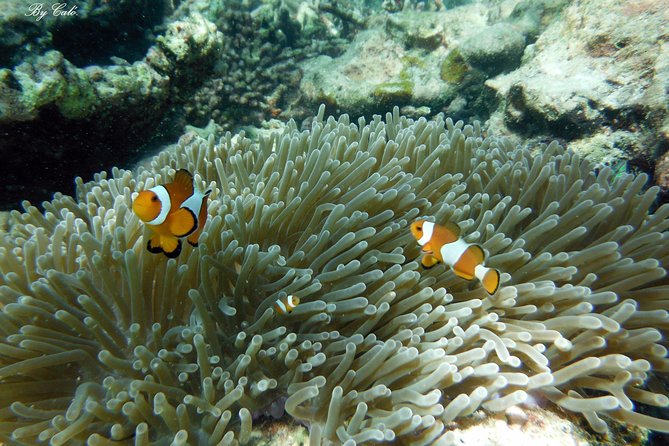 Krabi to James Bond and Hong Islands Offbeat Speedboat Tour - Koh Yao Noi provides the quieter part of the trip