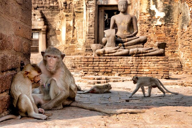 Lopburi Monkey Temple & Ayutthaya Old City Tour From Bangkok - Why this Bangkok day trip is different