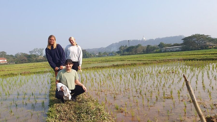 Meditation Retreat and Self-Care in Nature - Meeting Amori at Flow Yoga Chiang Mai