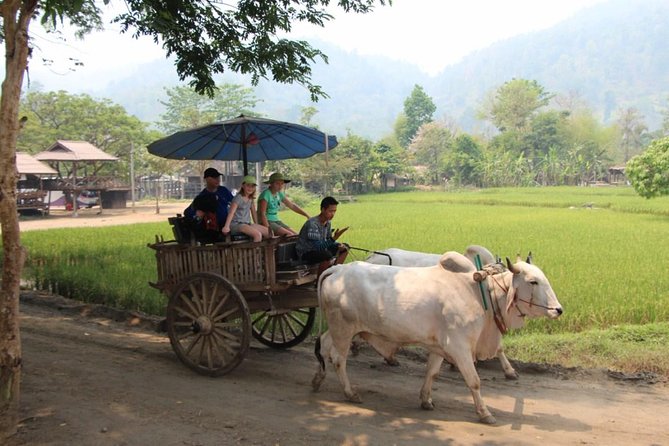 Nakhon Nayok adventure full day trip with lunch - What the private format changes