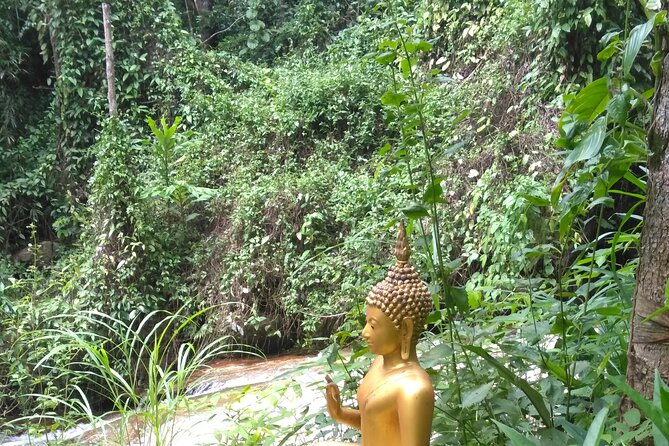 No.1 Chiang Mai: 3-Hour Monk Trail Hike to Wat Doi Suthep & Palad - Monthathan Waterfall and the changed route