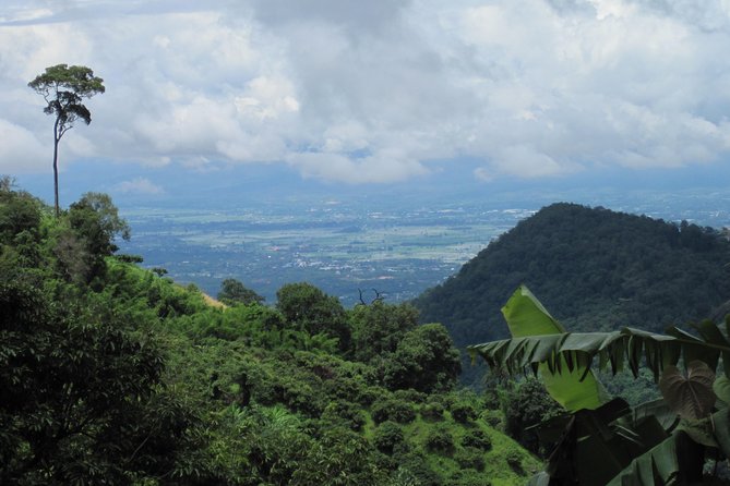 No.1 Chiang Mai: Advanced Downhill Mountain Biking, Suthep N.Park - Equipment, safety, and support