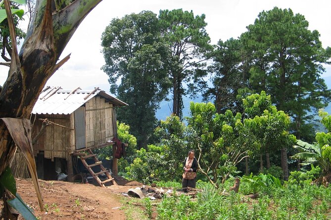 No.1 Chiang Mai: Advanced Downhill Mountain Biking, Suthep N.Park - Who should book this downhill ride?