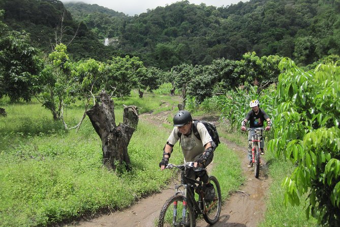 No.1 Chiang Mai: Advanced XC Downhill Biking, Doi Suthep N. Park - The Highlanders Route, from 1,550 to 370 meters