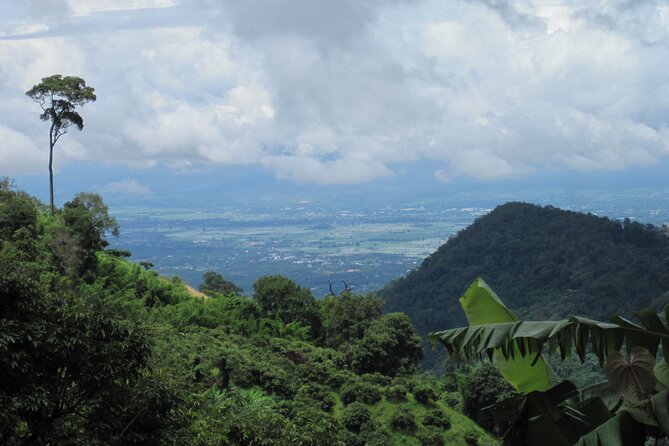 No.1 Chiang Mai: Advanced XC Downhill Biking, Doi Suthep N. Park - Forest roads, plantations, and the coffee stop