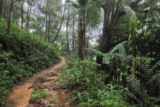 No.1 Chiang Mai: Advanced XC Downhill Biking, Doi Suthep N. Park - Lake Huay Tueng Tao and the finish