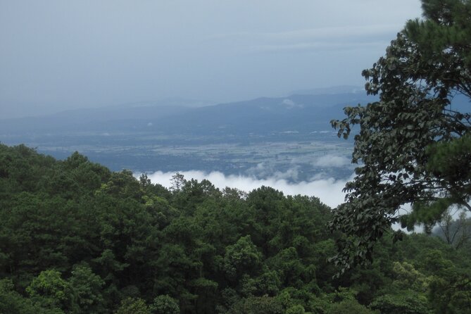 No.1 Chiang Mai: Advanced XC Downhill Biking, Doi Suthep N. Park - Is $80.67 good value?