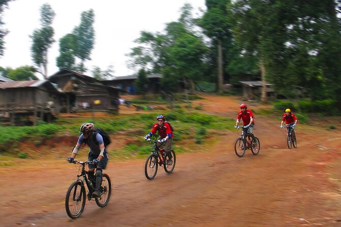 No.1 Chiang Mai: Epic Doi Suthep Downhill MTB Adventure - From Chiang Mai streets to Doi Suthep’s high country