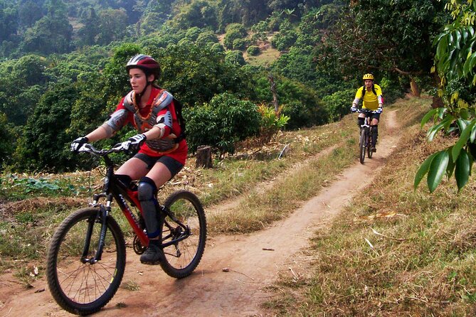 No.1 Chiang Mai: Epic Doi Suthep Downhill MTB Adventure - Is $74.97 a fair price?
