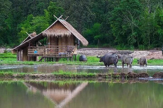 "No.1 Chiang Mai: Leisure Bicycle Ride to Lake Huay Tueng Tao" - Timing, Group Size, and Value