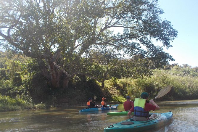 No.1 Chiang Mai: Leisure River Kayaking: Mae Taeng forest Reserve - A quiet start on the Mae Ping River