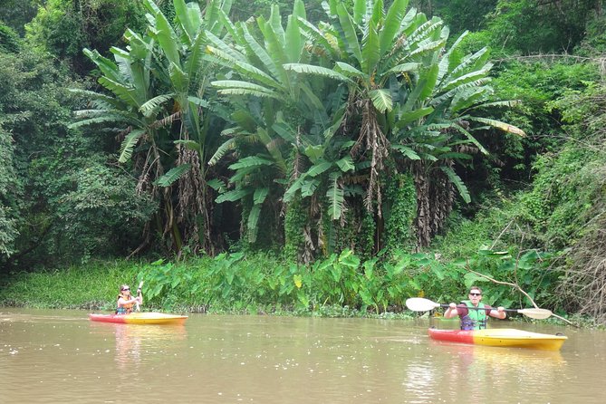 No.1 Chiang Mai: Leisure River Kayaking: Mae Taeng forest Reserve - Lunch at Mango Plantation Restaurant
