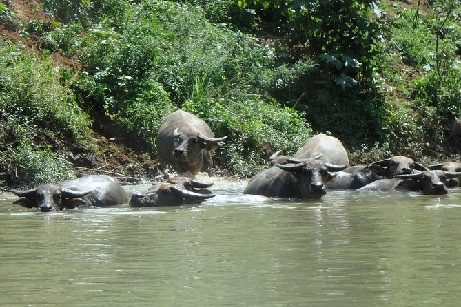 No.1 Chiang Mai: Leisure River Kayaking: Mae Taeng forest Reserve - How much skill do you need?