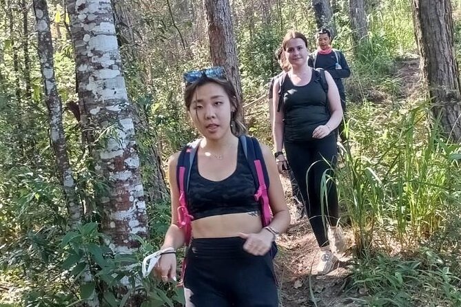 "No.1 Chiang Mai: Suthep N. Park Leisure walks & Mountain Biking" - Who will get the most from this outing