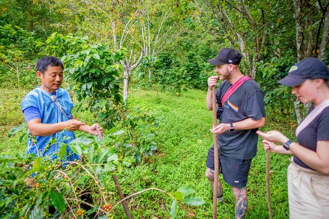 Off the Map Chiang Mai Jungle Coffee Trek Roast and Brew - A farm lunch with Karen flavors