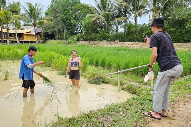Old Phuket Farm Ticket - Countryside Local Life Culture - Rubber Trees and the Making of Rubber Sheets