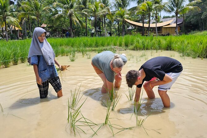 Old Phuket Farm Ticket - Countryside Local Life Culture - Pineapples, Coconuts, and Thai Kitchen Skills