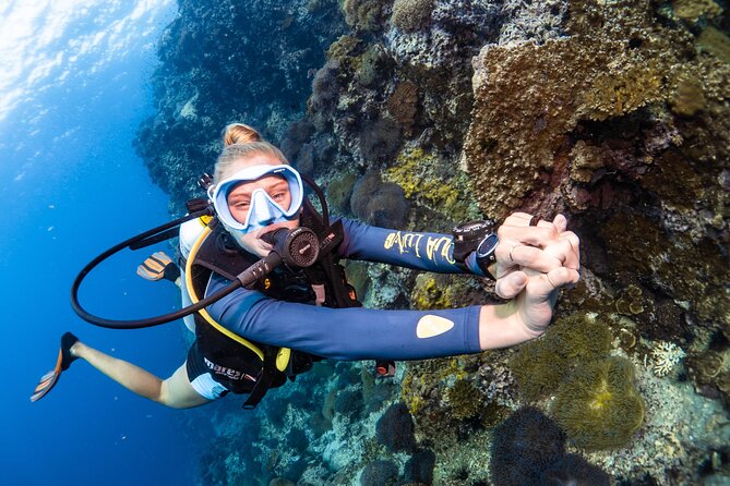 Open Water Course - Become certified diver in 3 days - Who will get the most from this course