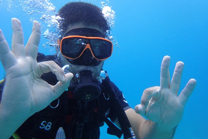 PADI Discover Scuba Diving in Koh Tao - half day and two dives - What $121.19 gets you