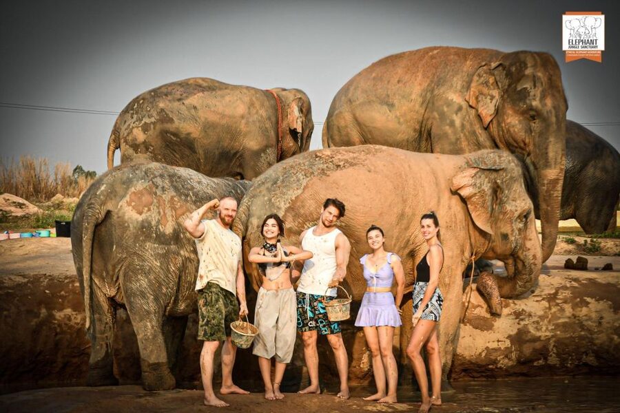 Pattaya: Elephant Jungle Sanctuary Feeding Experience - Meeting rescued elephants near Pattaya