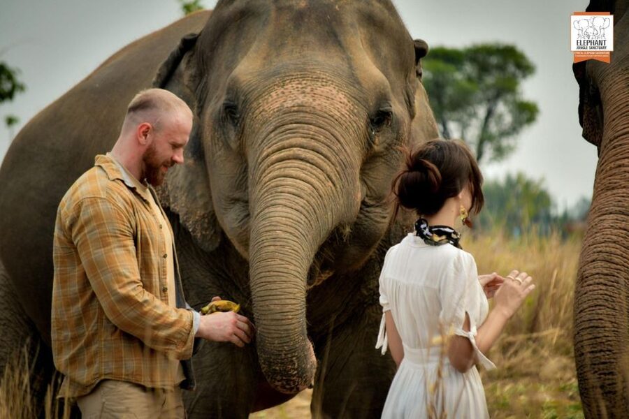 Pattaya: Elephant Jungle Sanctuary Feeding Experience - The guide makes the difference