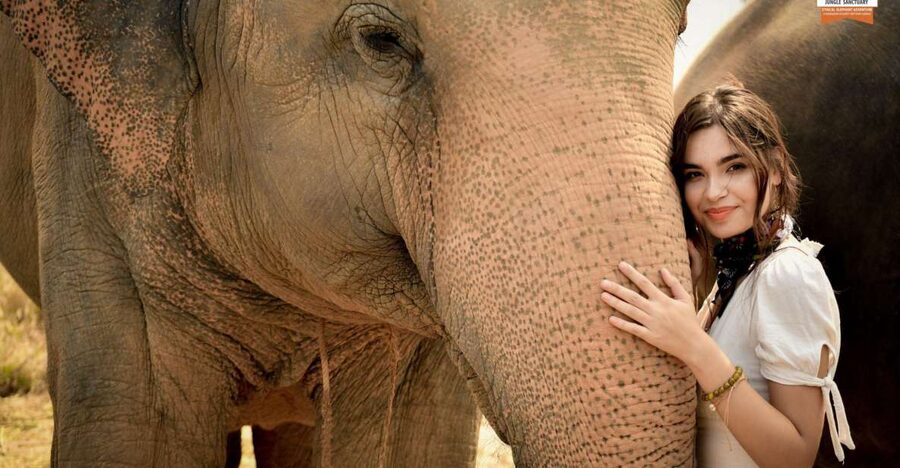 Pattaya: Elephant Jungle Sanctuary Feeding Experience - What happens during the 30 to 150 minute visit