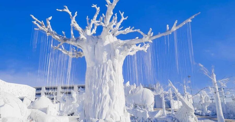Pattaya: Frost Magical Ice of Siam Entry Ticket - From tropical Pattaya to a frozen Thai fantasy