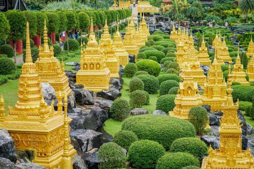 Pattaya: Nong Nooch Tropical Garden Ticket for Foreigners - The Cycad Gene Bank and Plant Conservation