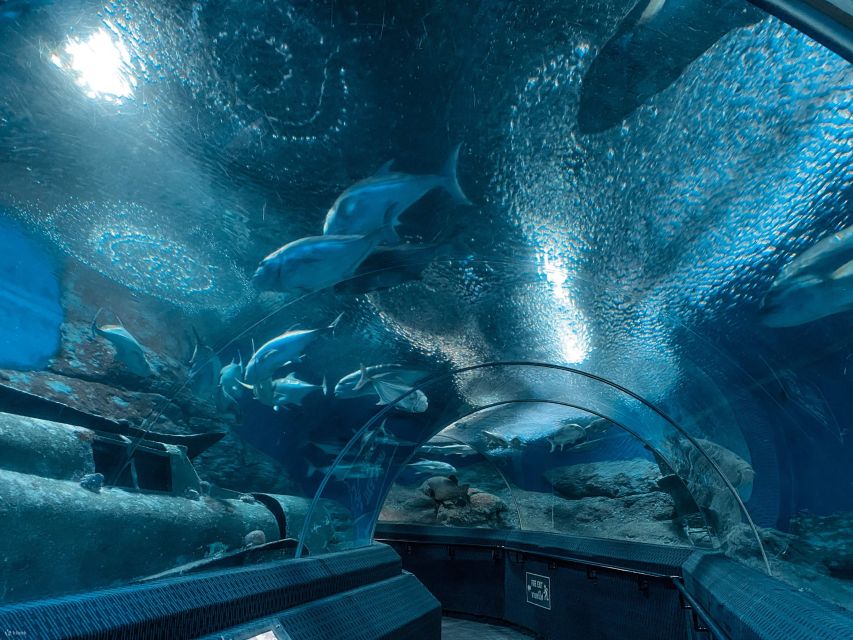Pattaya: Underwater World Pattaya Aquarium Admission Ticket - Key points to know before you go