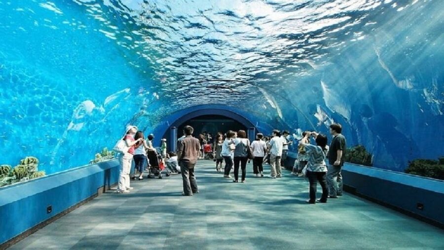 Pattaya: Underwater World Pattaya Aquarium Admission Ticket - The voucher check that deserves attention
