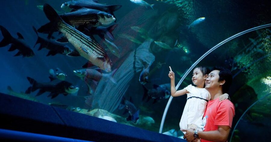 Pattaya: Underwater World Pattaya Aquarium Admission Ticket - Sharks and stingrays from a safe position