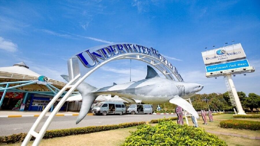 Pattaya: Underwater World Pattaya Aquarium Admission Ticket - Getting hands-on at the Touch Pool Zone
