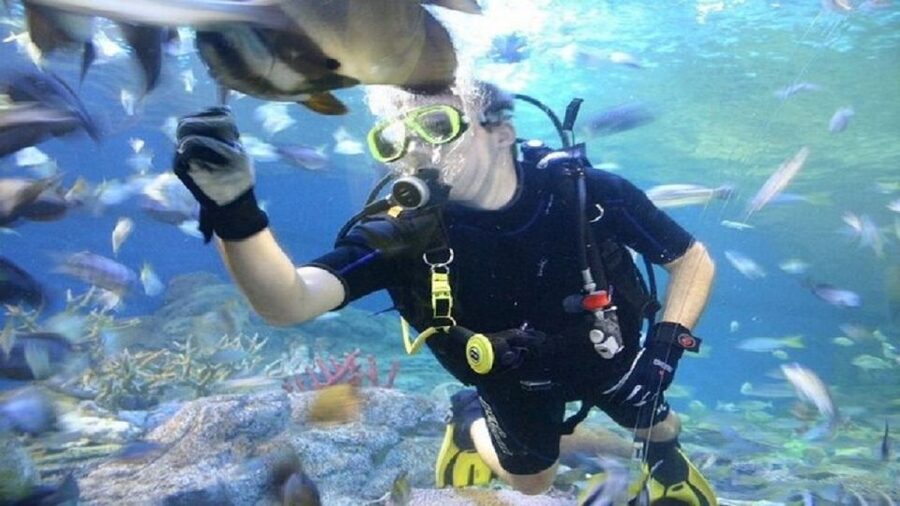 Pattaya: Underwater World Pattaya Aquarium Admission Ticket - Timing your visit from 9:00 am to 6:00 pm