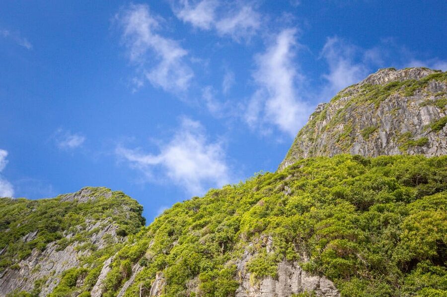 Phi Phi: 7 Island Day Tour by Longtail Boat - Loh Samah Bay: coral, fish, and a short pause