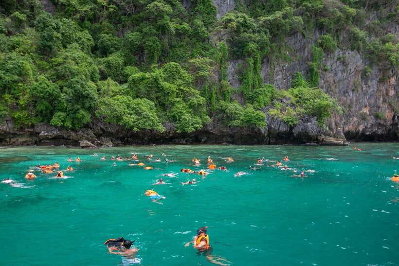 Phi Phi: 7 Islands longtail boat with Sunset and Plankton - Shark Point is exciting, but not guaranteed