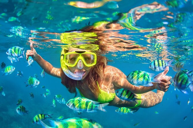 Phi Phi & Bamboo Islands Snorkeling Tour with Lunch by Speedboat - What this Phi Phi speedboat tour is really like