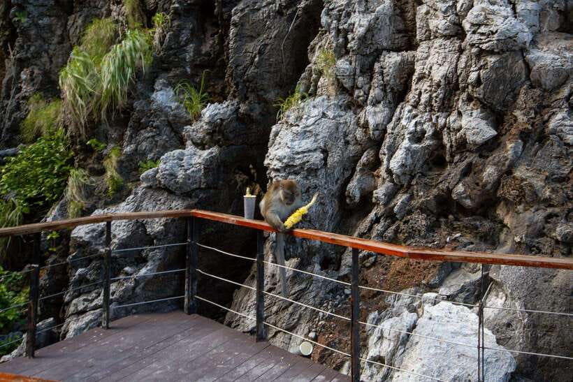 Phi Phi Half Day or Full Day by Longtail to Maya and Bamboo - Viking Cave and the story on the cliff