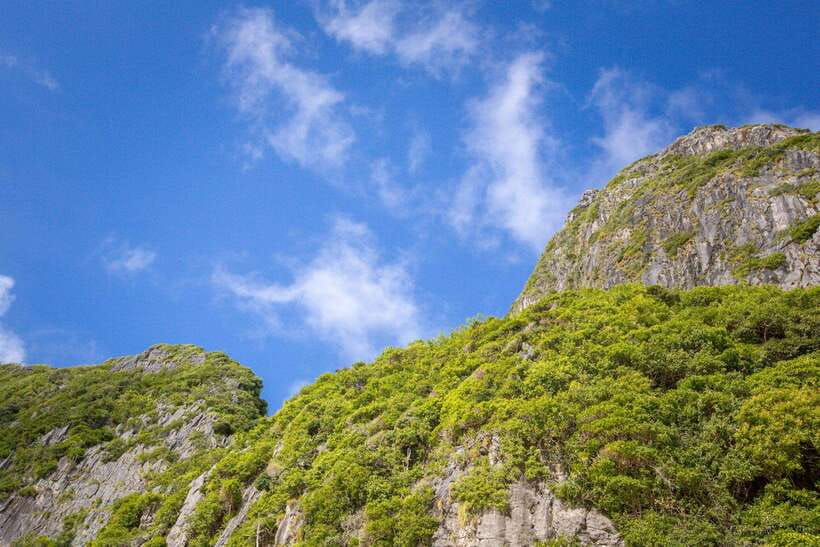 Phi Phi Half Day or Full Day by Longtail to Maya and Bamboo - Maya Bay, the famous beach with important limits