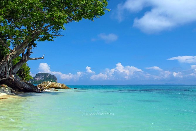 Phi Phi & Maya Bay Speedboat: All-Day Food & Choice of 3 Marinas - Food, drinks, and the real value