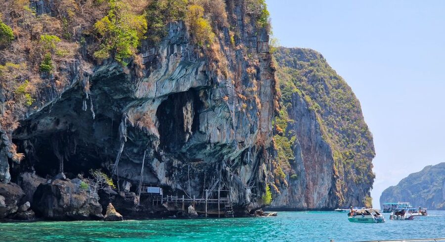 Phi Phi: Morning Speedboat Tour to Maya Bay with Snorkel - What the $51 price really includes