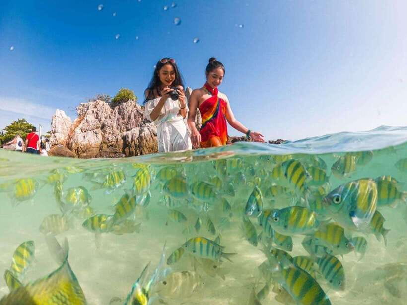 Phuket: 3 Khai Islands Snorkeling Tour - Key points to know before you book