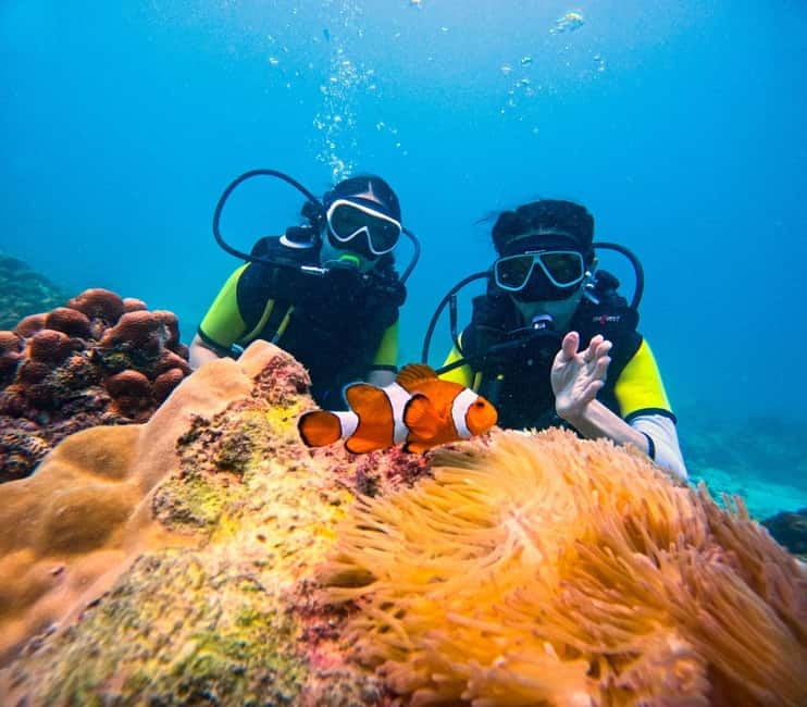 Phuket: 3 Khai Islands Speedboat Tour- Snorkeling & Relaxing - What this Khai Islands trip is really like