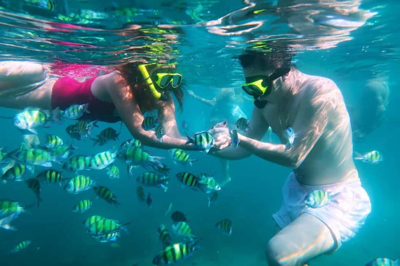 Phuket: 3 Khai Islands Speedboat Tour- Snorkeling & Relaxing - The crew and group experience