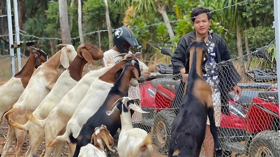 Phuket: ATV Ride with Secret Sea Viewpoints and Swing - My verdict: book it for the mix, not just the quad