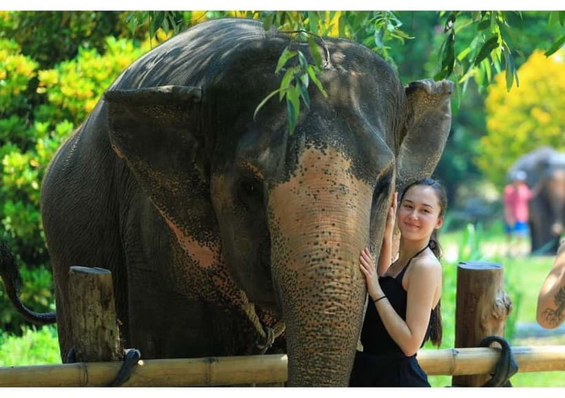 Phuket: Bamboo Rafting & ATV Ride (Optional) - A simple Thai lunch at Songpreak Rafting